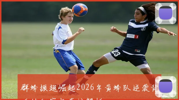 群蜂振翅崛起2026年黄蜂队逆袭背后的秘密与奇迹解析
