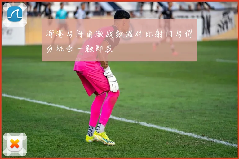 海港与河南激战数据对比射门与得分机会一触即发